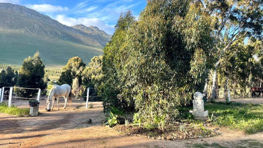 3 Bedroom Property for Sale in Firlands Western Cape